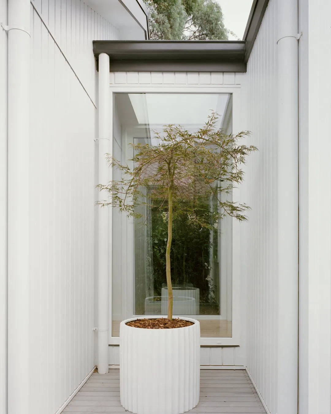 Ainslie-Home-Extension-CJC-Construction-12